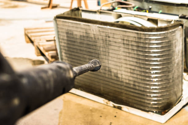 Best Air Duct Mold Removal  in Rio Dell, CA