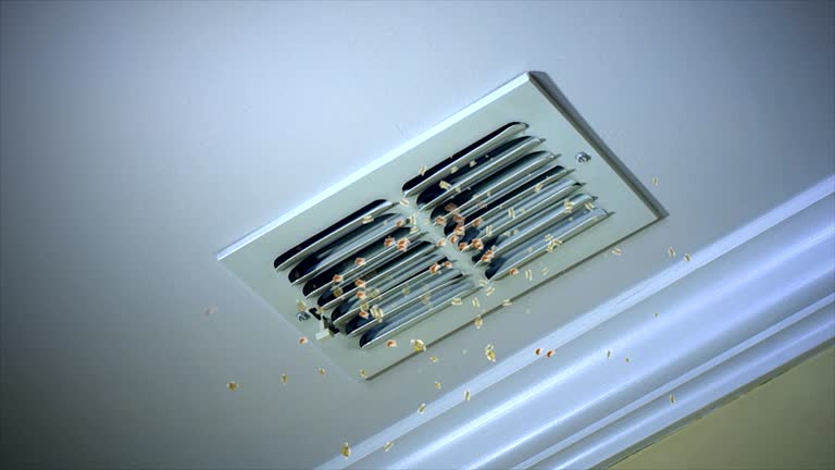 Best Ductwork Cleaning Services  in Rio Dell, CA