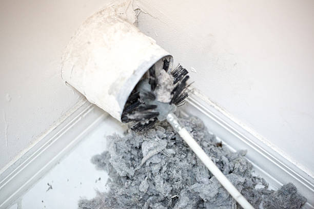 Best HVAC System Cleaning  in Rio Dell, CA